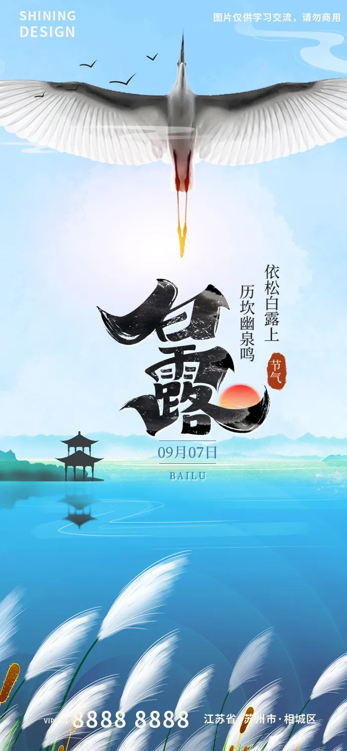 白鹭鸟芦苇意境大气白露节气海报psd模版下载