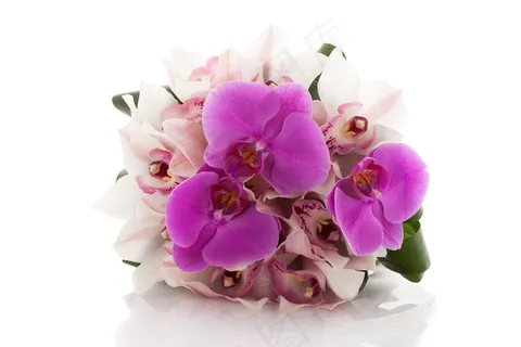 鲜花手捧花图片 鲜花手捧花图片