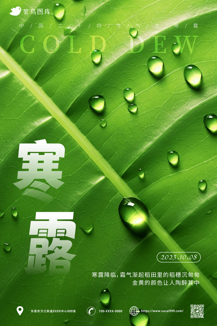 绿色 露珠绿叶 寒露节气海报