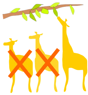 物竞天择课程长颈鹿卡通配图少儿兴趣班素材