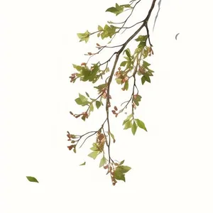 树枝免抠