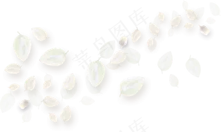 花瓣花朵免扣图片 