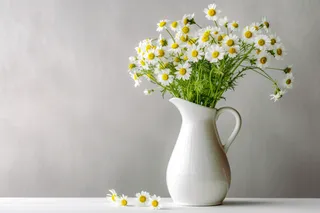 花瓶装的小雏菊鲜花摄影图