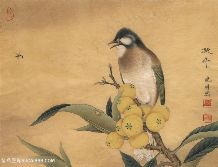 高清现代工笔画枇杷树与雀鸟国画图片