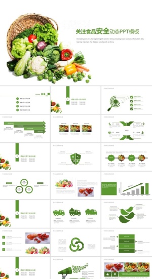 食品安全健康PPT模板ppt模版预览图