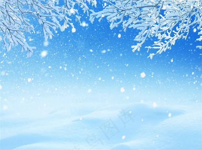 冬季雪花树木