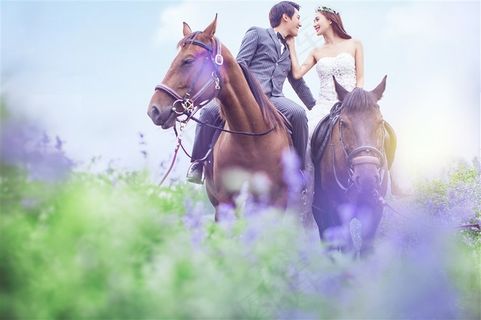幸福恋人薰衣草婚纱外拍图片