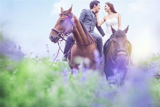 幸福恋人薰衣草婚纱外拍图片