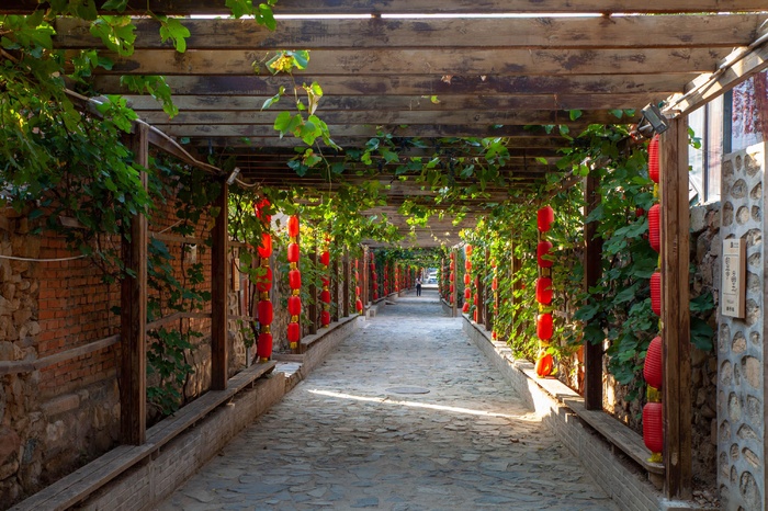 靓丽的走廊布置植物红色灯笼