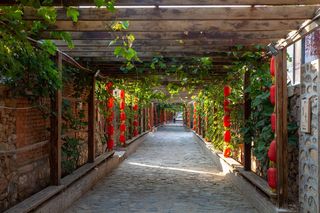 靓丽的走廊布置植物红色灯笼