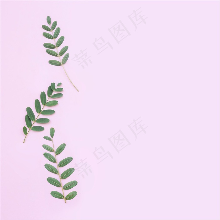 清新春天绿叶粉色桌面背景