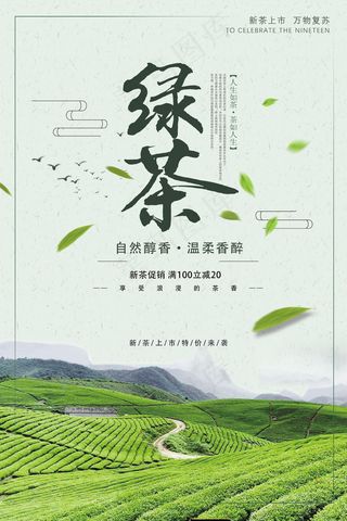 绿茶海报设计
