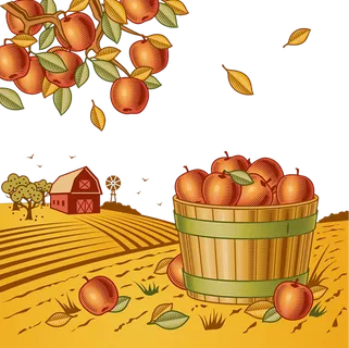 采摘水果现代农业