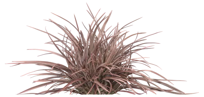 高清树木素材 免抠PSD植物素材 美术绘画园林贴图 树草灌木花草 高清树木素材 免抠PSD植物素材 美术绘画园林贴图 树草灌木花草