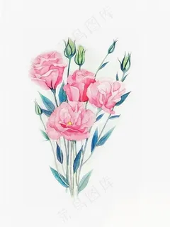 手绘唯美玫瑰花