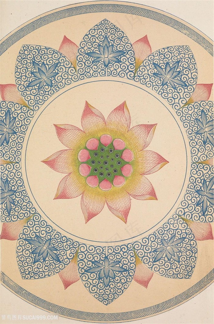 工笔画莲花正面图中式传统纹样集锦中国风图片