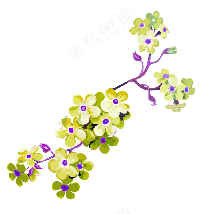 免抠梅花 