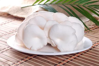 蘑菇香菇金针菇杂菇菌类美食素菜