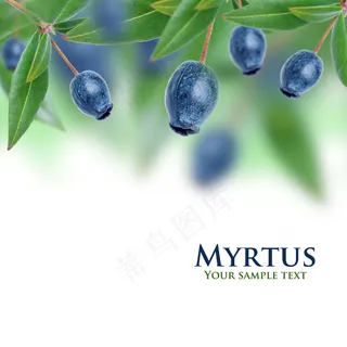 绿叶果子背景图片