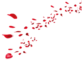 中国古风元素花朵飘落