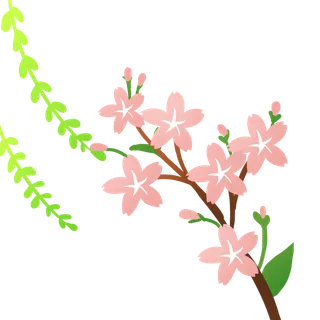 春天浪漫粉红色樱花手绘樱花梅花桃花花朵图片PNG免扣素材 春天浪漫粉红色樱花手绘樱花梅花桃花花朵图片PNG免扣素材