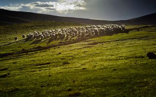 西藏高清山水风景