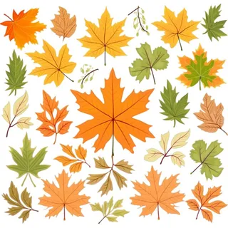 秋天黄色叶子树叶插画免抠