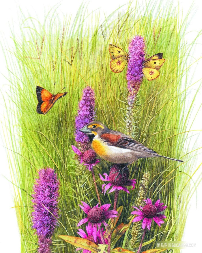 紫色花卉蝶恋花鸟艺术油画