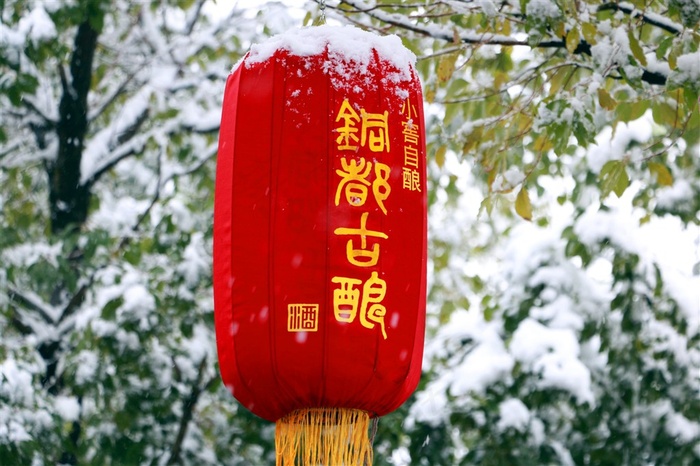 八宝春之腊八打酒节