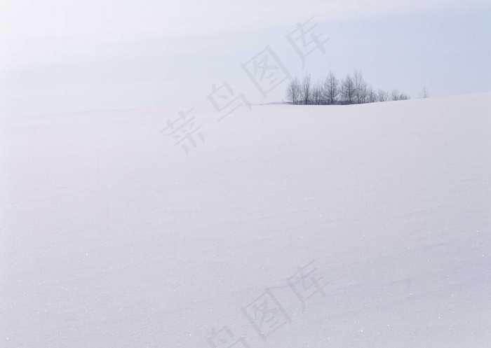 冰天雪地 305