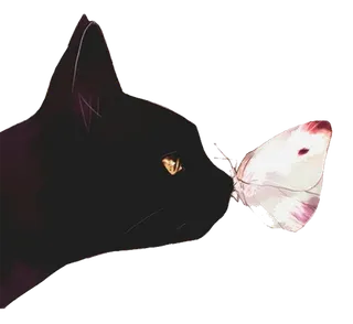 蝴蝶与猫咪卡通