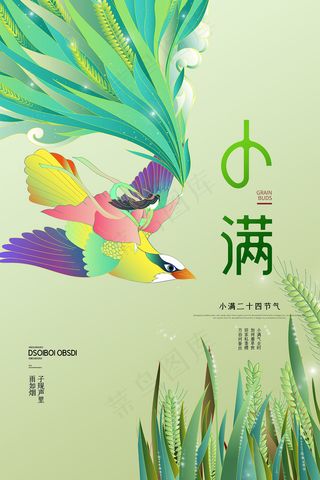 手绘24传统节气小满节日海报