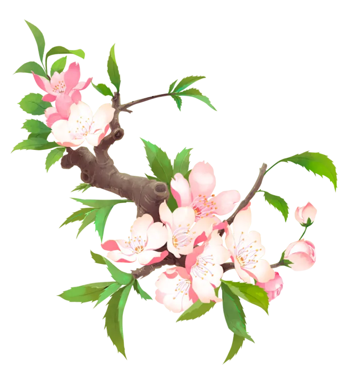 免抠春天桃花树枝素材 
