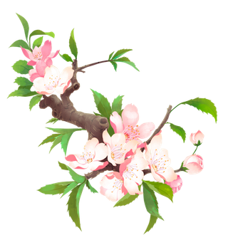 免抠春天桃花树枝素材 