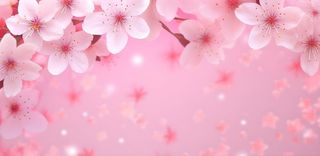 花朵粉色蝴蝶花瓣海报素材背景