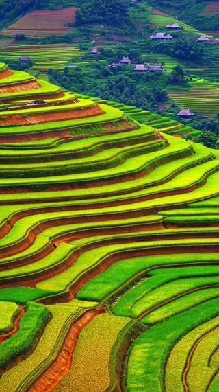 春天唯美绿色梯田种植，乡村小屋，谷雨摄影图