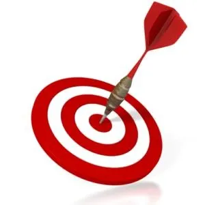 目标 PNG免抠(300x300)