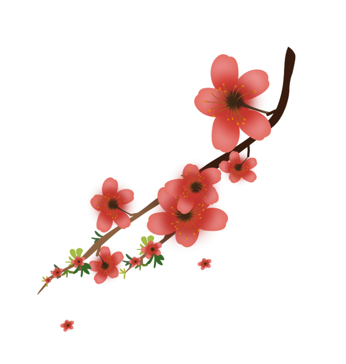 春天浪漫粉红色樱花手绘樱花梅花桃花花朵图片PNG免扣素材