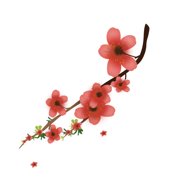 春天浪漫粉红色樱花手绘樱花梅花桃花花朵图片PNG免扣素材