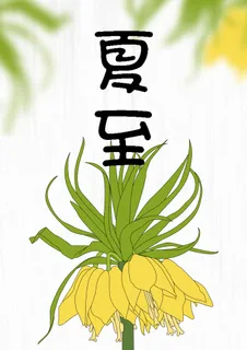 小清新夏至背景图