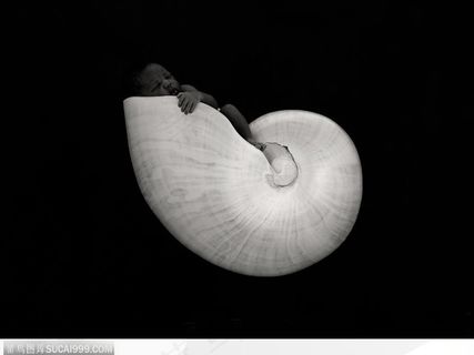 在田螺中熟睡的婴儿