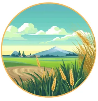 小麦麦穗稻穗边框画风景