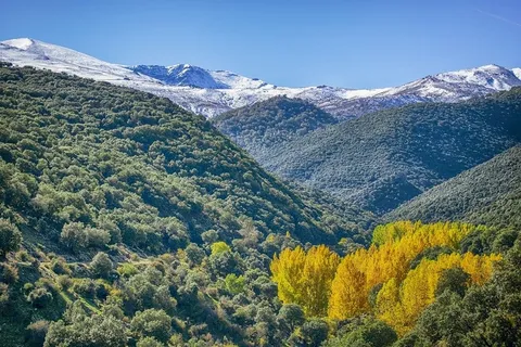 冬天自然背景风景 冬天自然背景风景