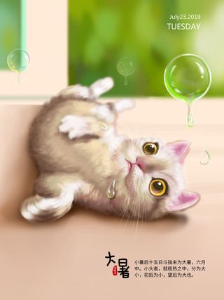 传统节气大暑海报