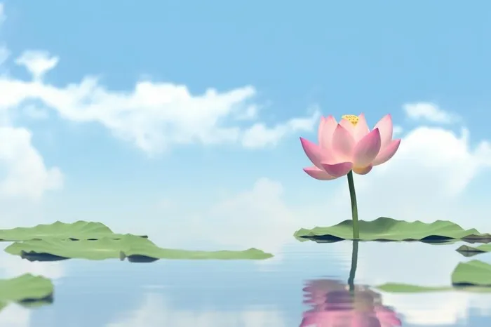 清新阳光荷花荷叶天空白云背景(1344x896)