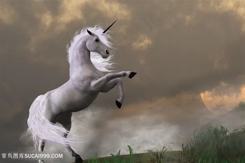 美丽的天马高清图片 美丽的天马高清图片