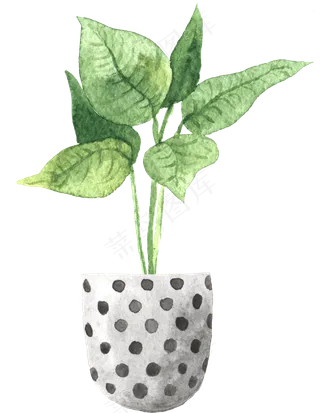 水彩插画-植物28