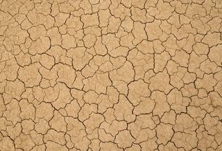 干裂土地地面图片