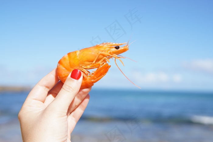 手拿一只煮熟虾图片