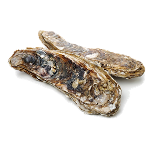 螺贝类带壳类(26)海鲜超市商品红酒白底图免抠实物摄影png格式图片透明底